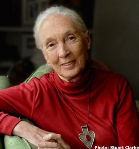jane_goodall